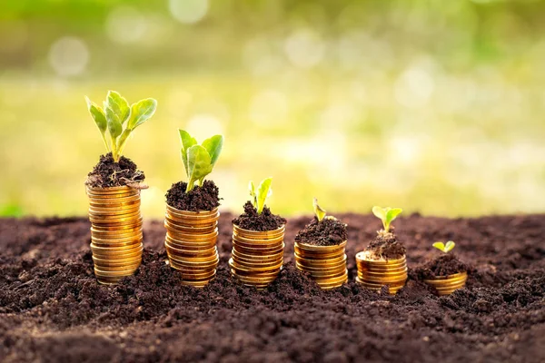 Monedas en suelo con planta joven — Foto de Stock