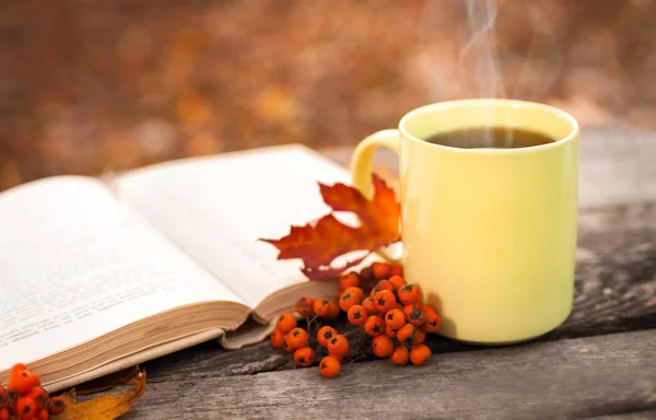 Libro abierto sobre superficie de madera con hojas caídas y taza de té — Foto de Stock