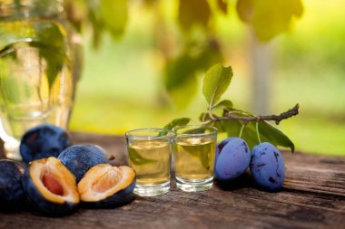 Geleneksel Sırp rakia