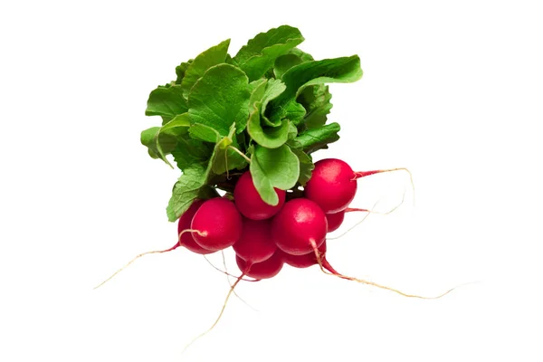 Radish vegetable isolated on white — Stock Photo, Image