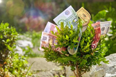 Bush dolar ve euro faturalarında yığınları