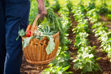 Sebze ile dolu hasır sepet