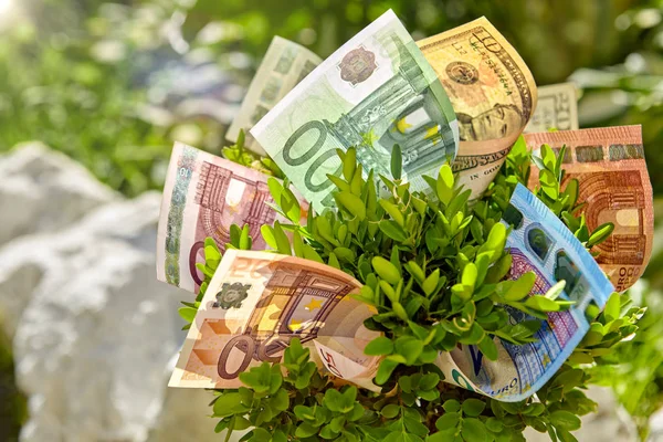 Euro ve dolar faturaları Bush yığınları