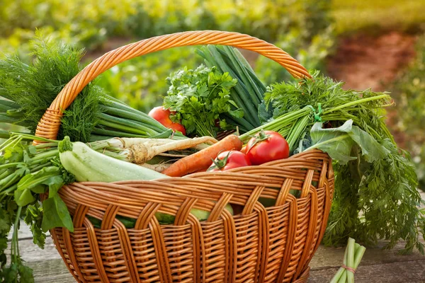 Органические овощи в плетеной корзине — стоковое фото