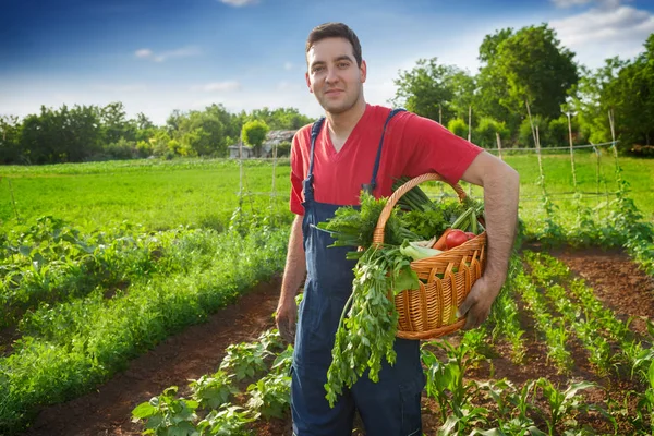 Petani bahagia memegang keranjang dengan sayuran — Stok Foto
