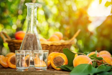 Bir cam ve kayısı meyveli brendi