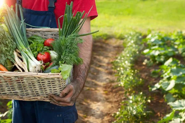 Man met een mandje met groenten — Stockfoto