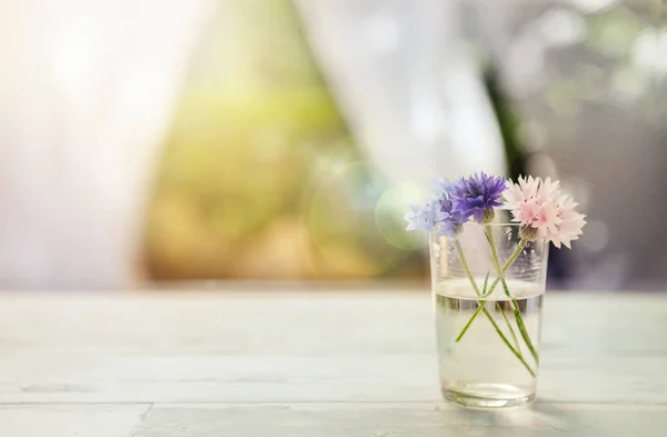 Fiore in vaso di vetro — Foto Stock