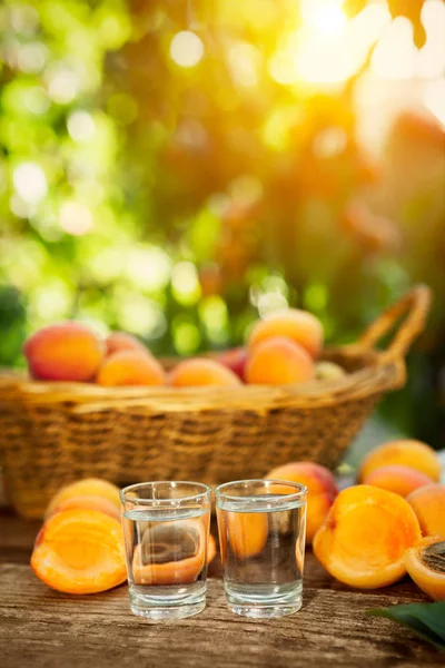 Kayısı brandy alkol içki shot cam