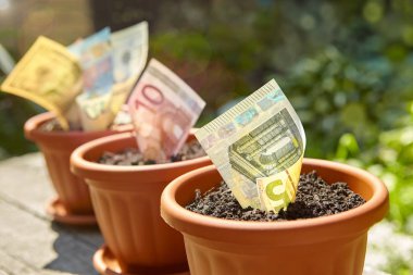 Haddelenmiş ve sıkışmış para faturaları Çiçeklik