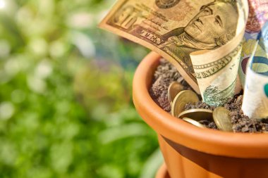 Para faturaları ve toprakta sıkışmış madeni paralar