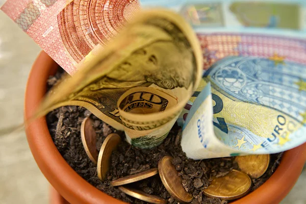 Saksının dibine, parayı büyüyen yakın çekim