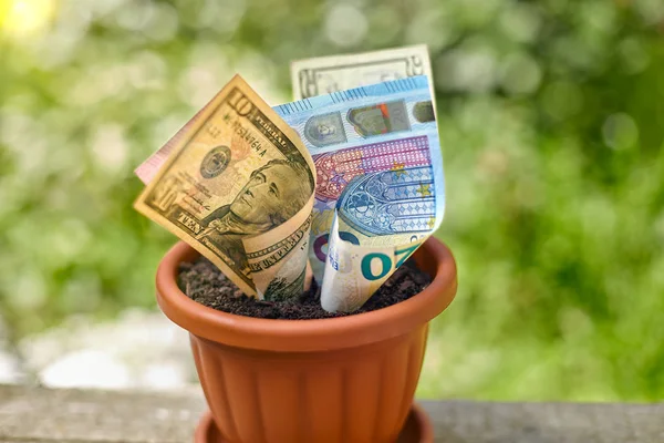 Dollaro e valute euro bloccate in vaso da fiori Foto Stock