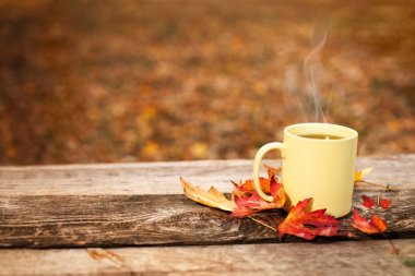 Çay bardağı ile sonbaharda ahşap yüzeye bırakır. 