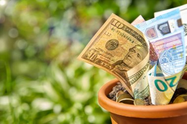 Para Birimi'yle toprakta sıkışmış madeni paralar