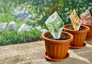 Para büyüyen ile tencere