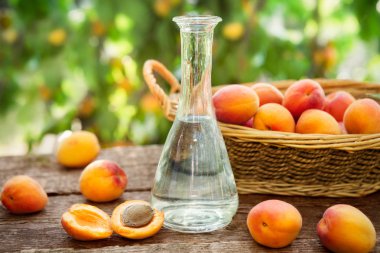 Bir şişe ve taze kayısı kayısı brandy