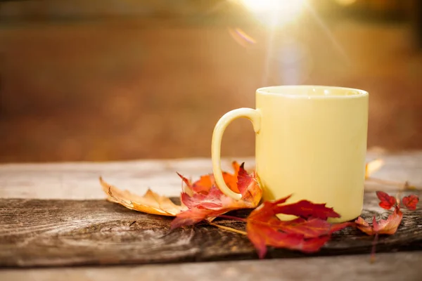 Tasse mit Tee auf Holzoberfläche mit Sonnenaufgang im Hintergrund — Stockfoto