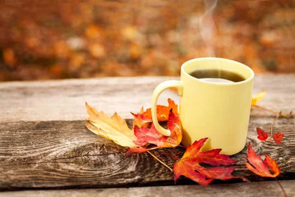 Çay kupa kırmızı yaprakları ile ahşap yüzeyde
