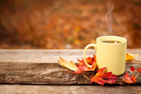 Tasse à thé sur la surface en bois en automne — Photo