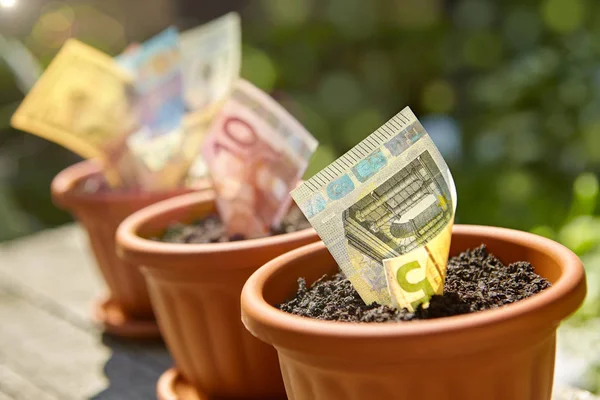 Haddelenmiş para faturaları Çiçeklik