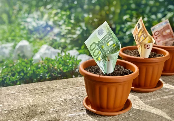 Para büyüyen ile tencere