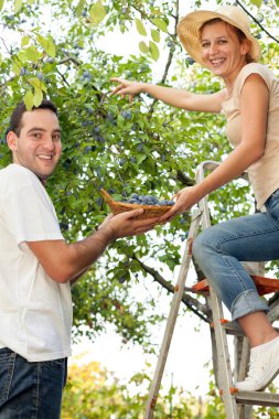Eğlenceli gün meyve çiftliğinde