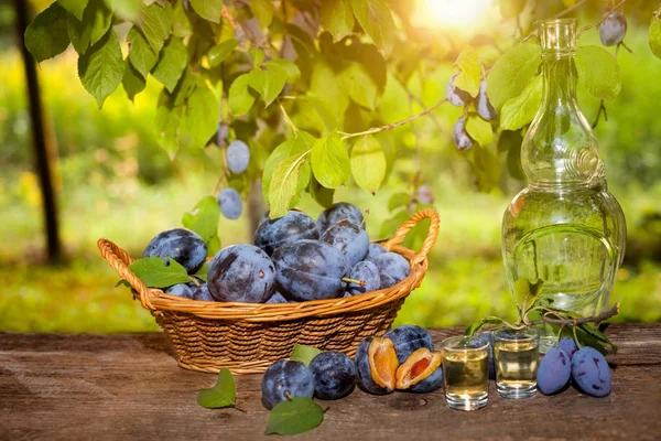 Taze Sırp rakia yaptı