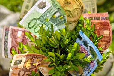 Bush para faturaları ile yakın çekim