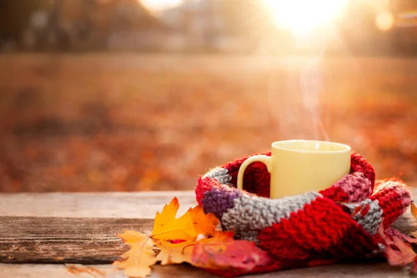 Caneca de chá e cachecol vermelho quente com folhas caídas — Fotografia de Stock