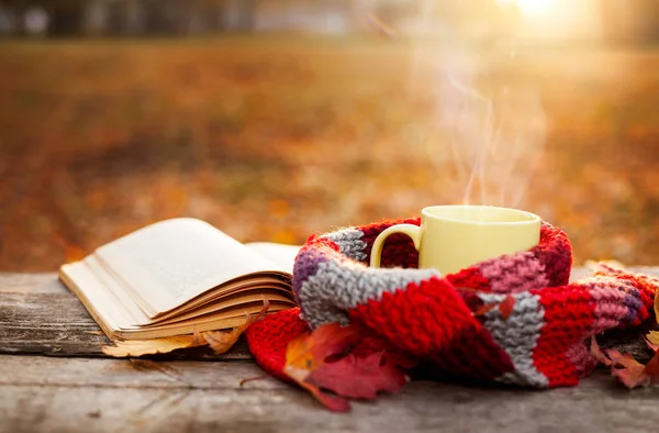 Open book and tea mug with warm scarf