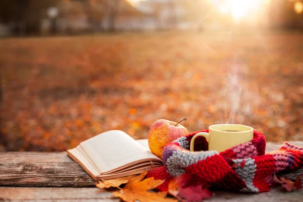 Çay bardağı sıcak eşarp açık kitap ve elma ile 