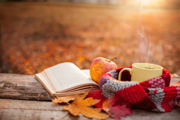 Tea mug with warm scarf open book and apple — Stock Photo, Image