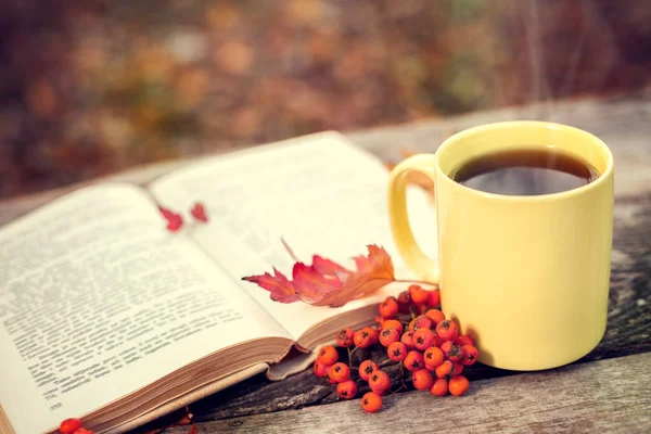 Açık kitap ve kupa sıcak çay ve kırmızı meyveler