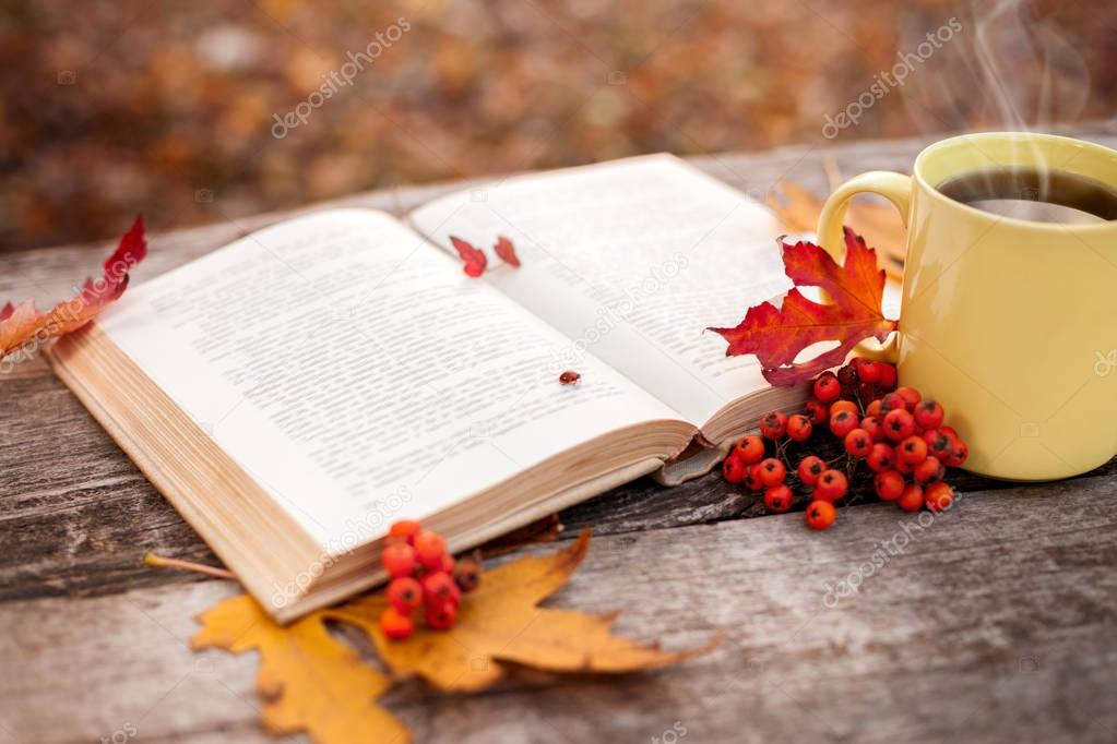 Book with open pages and mug with hot tea and red berries