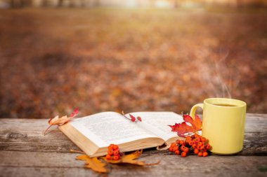 Açık kitap ve fincan sıcak çay ve kırmızı meyveler