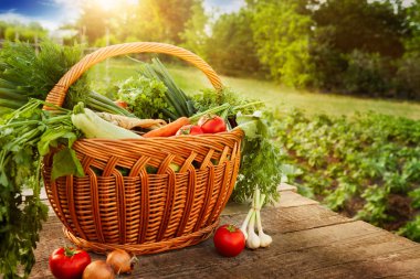 Bahçe masada sepette karışık sebze