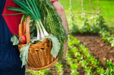 Sebze ve çiftçi Bahçe sepeti
