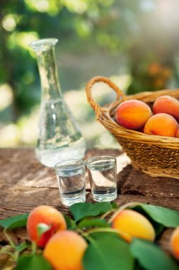 Alkol kayısı brandy bardak içinde