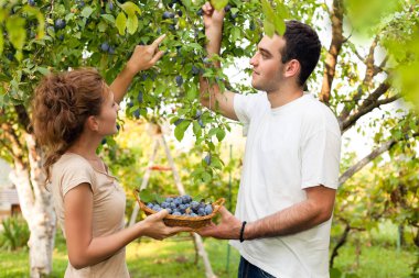 güneşli bir gün alanında