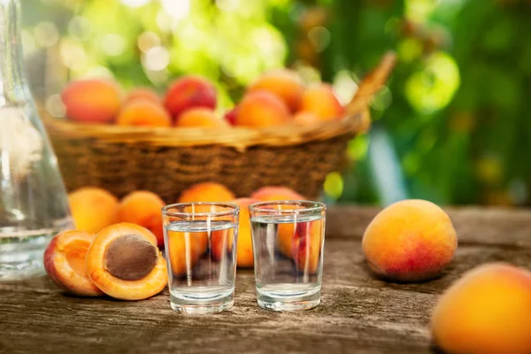 İki bardak kayısı brandy 