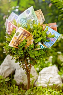 Para faturalarında ile küçük ağaç