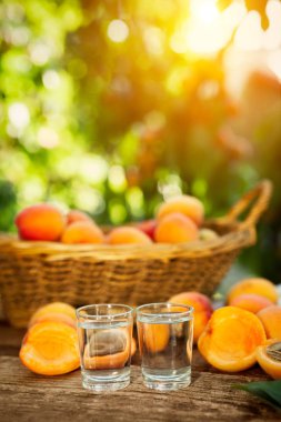 Kayısı brandy alkol içki shot cam