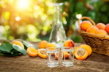 Alkol kayısı brandy ve taze kayısı