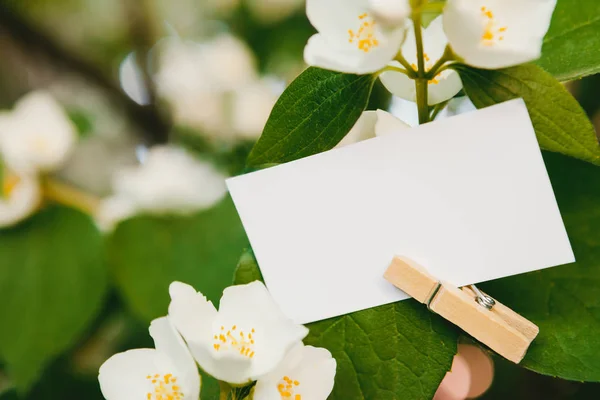 Primo piano della carta vuota per la scrittura del testo — Foto Stock