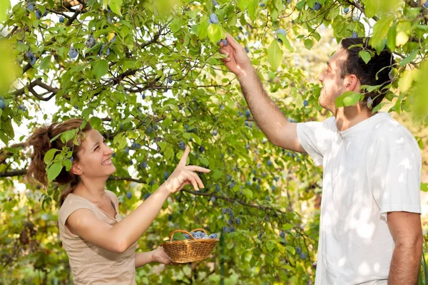 Alan eğlenceli gün