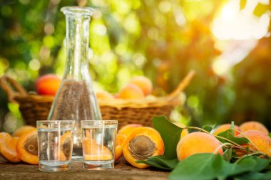 Bir cam ve kayısı meyveli brendi