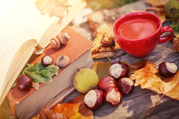 秋は紅葉、栗の木の板に — ストック写真