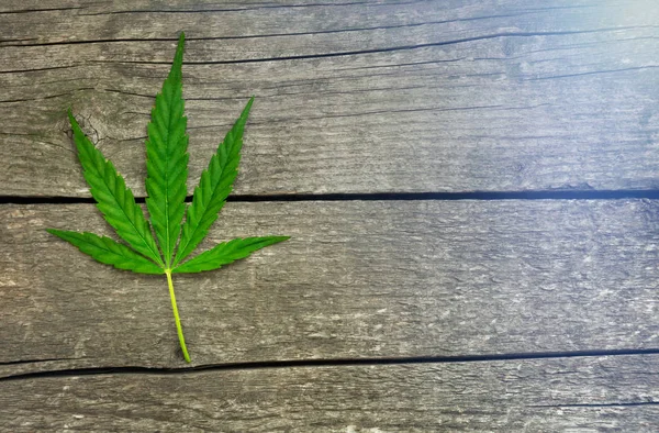 Cannabis leaf on wooden background — Stock Photo, Image