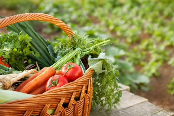 Różne warzywa w wiklinowym koszu — Zdjęcie stockowe